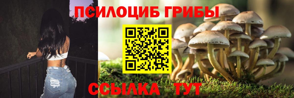 Псилоцибиновые грибы MAGIC MUSHROOMS Апшеронск